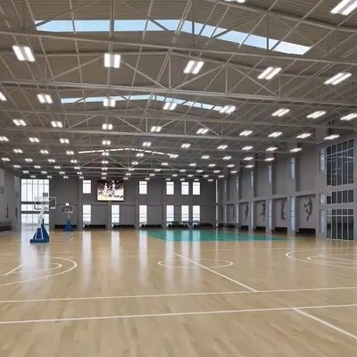 大型球場專用照明